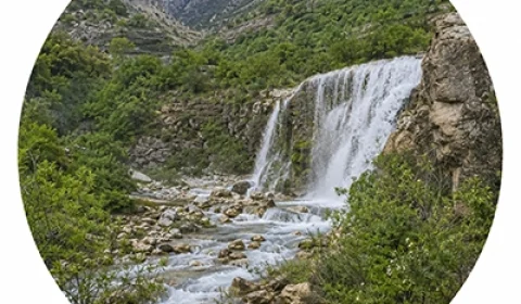 ثلاث باباجانی