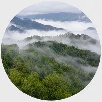 سمنان سمنان