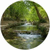سنقر سنقر
