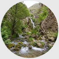 صحنه صحنه