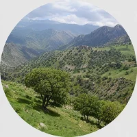 گیلانغرب گیلانغرب