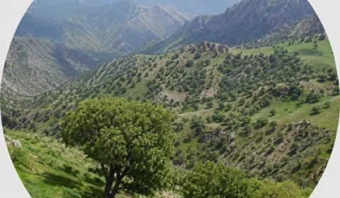 گیلانغرب